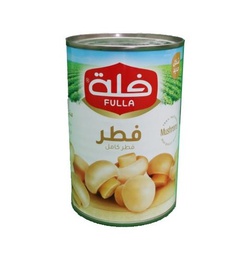 [7582] قارچکی قتوی ساغ  24عدد